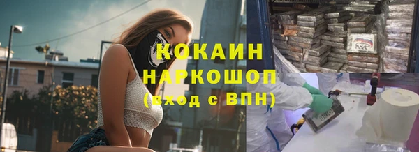 индика Алзамай