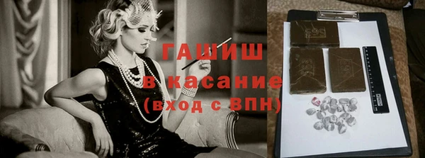индика Алзамай