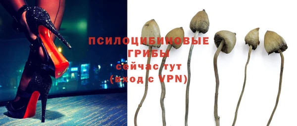 герыч Алексин