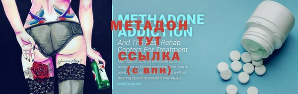 индика Алзамай