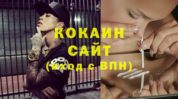 индика Алзамай