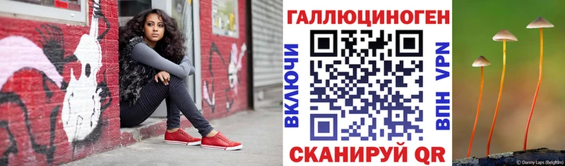 где купить наркоту  MEGA ТОР  Псилоцибиновые грибы Magic Shrooms  Зеленокумск 
