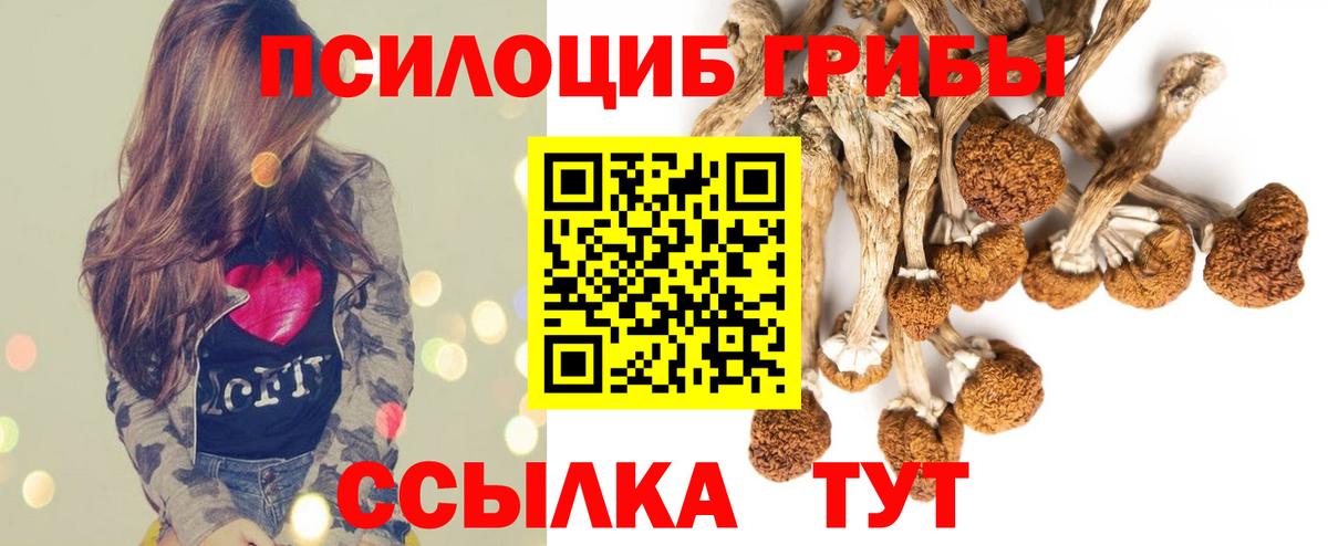 Галлюциногенные грибы MAGIC MUSHROOMS Зеленокумск