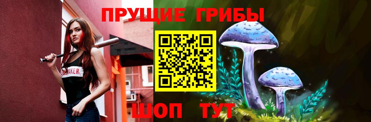 Зеленокумск  Псилоцибиновые грибы Psilocybe  Вход с VPN 