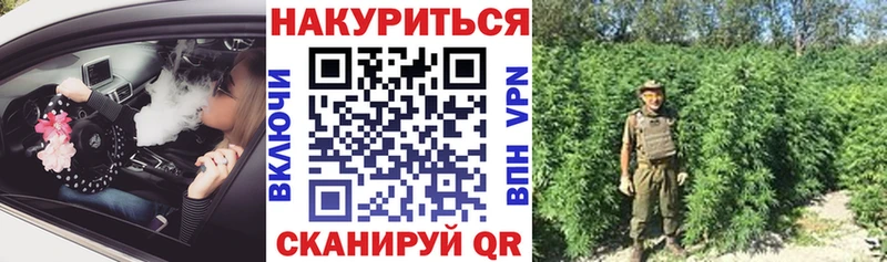 Каннабис план  магазин продажи наркотиков  Зеленокумск 